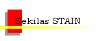 Sekilas STAIN