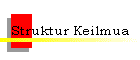 Struktur Keilmua